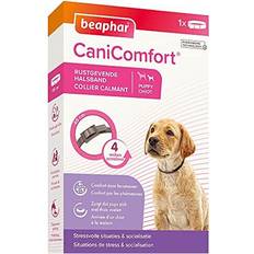 Beaphar Chien - Colliers et laisses pour chiens Animaux de compagnie Beaphar CaniComfort Collier Pour Petit Chien (pc)