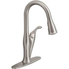 Moen Single-Handle Pull-Down Sprayer