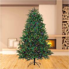 LED Multi Colour