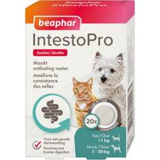 Animaux de compagnie Beaphar IntestoPro Pâté Pour Chats et Petits Chiens 15 kg - 20 Comprimés