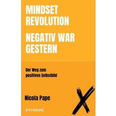 Bücher Mindset Revolution Negativ war gestern wissenschaftlich fundierter Ratgeber