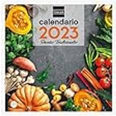 Finocam Kalender 2023 Wandbilder 30x30 Schreiben Januar 2023