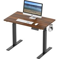Electric Height Adjustable Standing 40 x 24 Inches Walnut