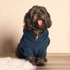 OHS Sherpa Dog Hoodie