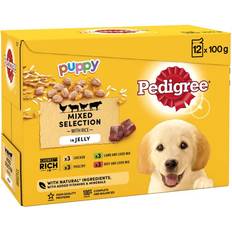 Pedigree Puppy Dog Food Jelly Vital protection nutrition12pk