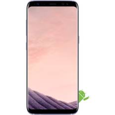 Samsung Galaxy S8 Mobile Phones Samsung Orchid Gray Galaxy S8 Dual