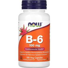 Blood Circulations Vitamins & Minerals Now Foods B-6, 100 mg, 100 Veg 100 pcs