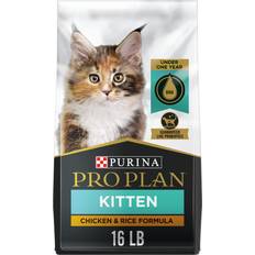 PURINA PRO PLAN Purina Pro Plan With Probiotics, High Protein Dry Kitten Chicken & Rice Formula