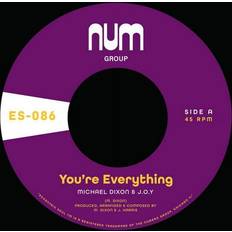 Dixon, Michael A. & J.O.Y. You're Everything B 7" Vinyl Single 45 Record Co