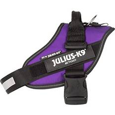 Julius-K9 IDC Powerharness, M/0, Dark Purple