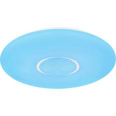 D Ceiling Flush Lights Ebern Designs Dnylah 41cm Mount Ceiling Flush Light