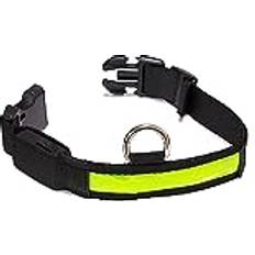 Arquivet Lysande Hund Halsband LED