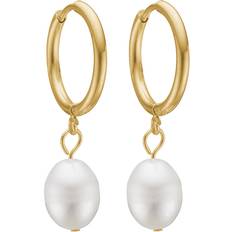 Schultz Jasmin Øreringe DU40014 Dame Gold