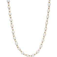 Schultz Jasmin Halsband Guld DU10041 Dam Gold