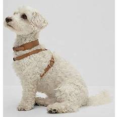 Husdjur BOSS Dog Collar Recycled Leather