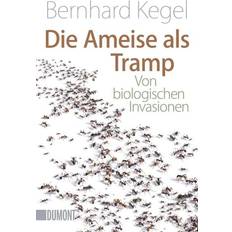 Die Ameise als Tramp (Geheftet)