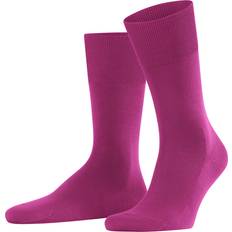 Clothing Falke ClimaWool Men Socks