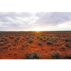 Union Rustic Lands, Roxby Downs, South Australia Julianne Caust Framed Art