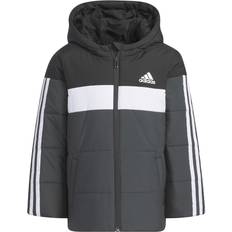 Adidas Kid's Padded Jacket - Black (IL6082)