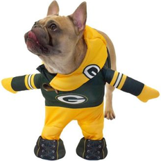 Jerry Leigh Modern Hero NFL Running Dog Costume, Green Bay Packers, Small