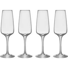 Orrefors Pulse Champagneglas 4st