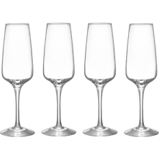 Orrefors pulse Orrefors Pulse Champagneglas 28cl 4st