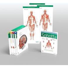 Sobotta Atlas of Anatomy, Package, 17th ed. English/Latin Friedrich Paulsen (Hæftet)
