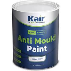 Anti Mould Paint Brilliant White 10L