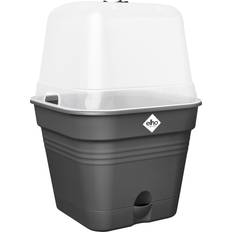 Pots, Plants & Cultivation Elho Green Basics Growpot Square Allin 30 cm ∅30cm