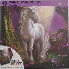 Art Studio Paint by Numbers Fantasy