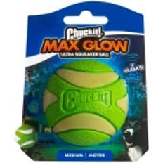 Chuckit! Max Glow Ultra Squeaker Ball Dog Toy