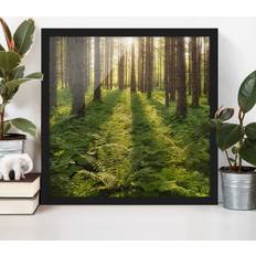 Green Photo Frames Klebefieber & Landschaft Quadrat Sonnenstrahlen Bilderrahmen