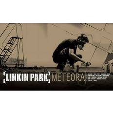 Musique Meteora (Vinyle)