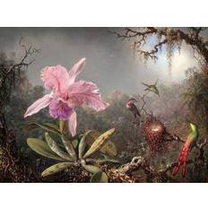 Diamond Paintings Fiyo Stickerei Malerei Diamant