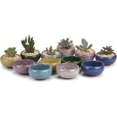 Pots, Plants & Cultivation T4U T4U 2.5 Inch Small Ceramic Succulent Planter Pot