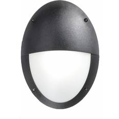 Dakota Fields Shabari Outdoor Wall light