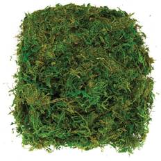Baker Ross Dried Moss 100g