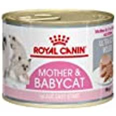 Royal Canin Mor & Babycat Mousse