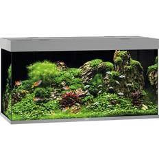 Juwel Akvarium Rio 350 LED 121 x 66 cm