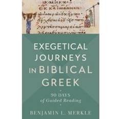 Books Exegetical Journeys in Biblical Greek 90 Days of Guided Reading (Paperback)