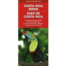 Costa Rica Birds Aves de Costa Rica