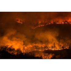 Wildfire Night