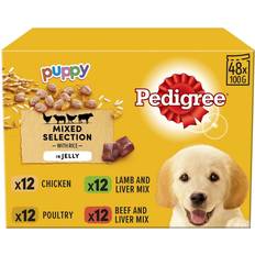 Sunukerr X 100G Pedigree Puppy Junior Wet Dog Food Pouches Jelly