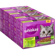 Whiskas Våtfoder Husdjur Whiskas 7+ Case 48 x 85 g Flerfärgad