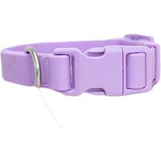 Springer Pets Springer Springer Dog Collar Comfortable, Heavy Duty Collar