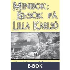 E-böcker på rea Minibok: Ett besök på Lilla Karlsö år 1875 (E-bok)