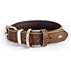 Ezydog Pets Ezydog Oxford hundhalsband läder premium läderhalsband hundhalsband