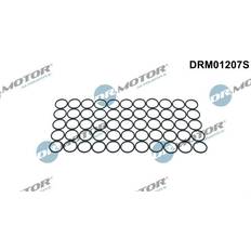 Dr.Motor Automotive Dichtring, Düsenhalter