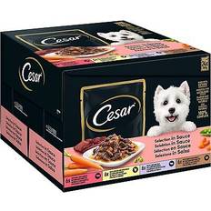 Cesar Husdjur Cesar Hundmat Paket med 48 x 100g