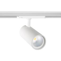 lyco 75.49